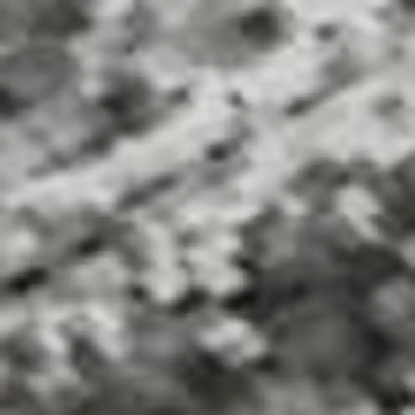 Gray And Silver Oriental Washable Area Rug With UV Protection Photo 1