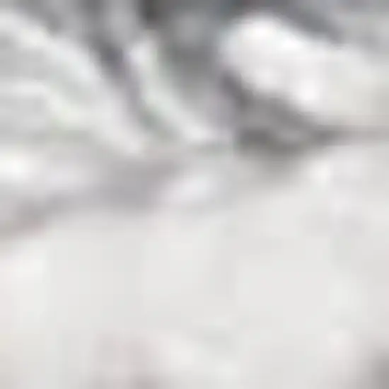 Gray And White Abstract Area Rug With Fringe Photo 2