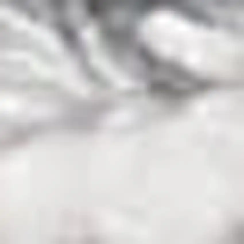 Gray And White Abstract Area Rug With Fringe Photo 2