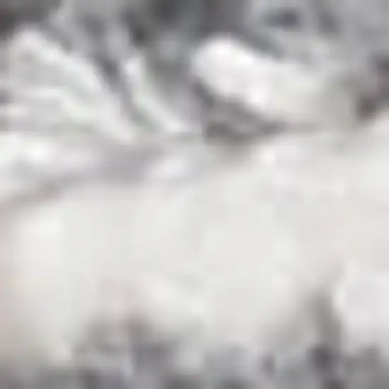 Gray And White Abstract Area Rug With Fringe Photo 3