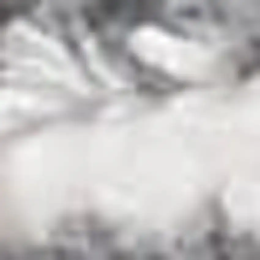 Gray And White Abstract Area Rug With Fringe Photo 3