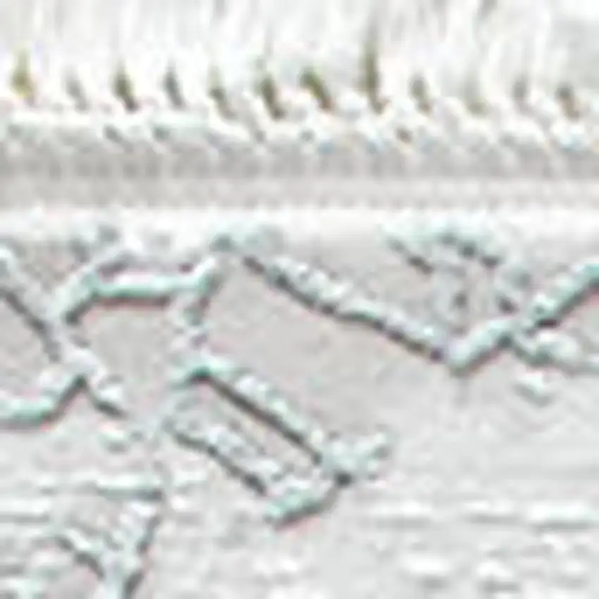 Gray And White Abstract Distressed Area Rug With Fringe Photo 3