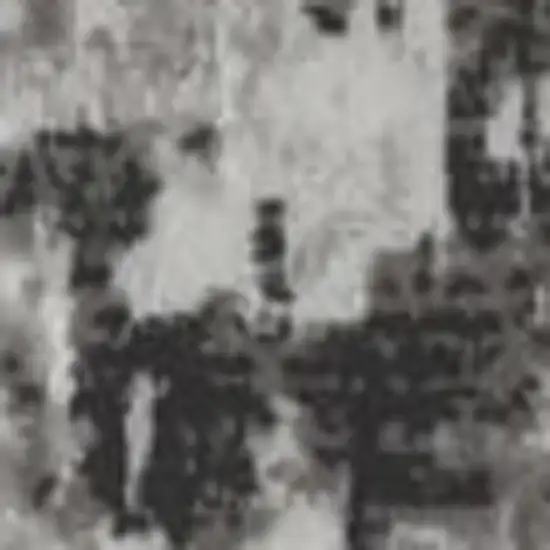 Gray And White Abstract Distressed Area Rug Photo 3