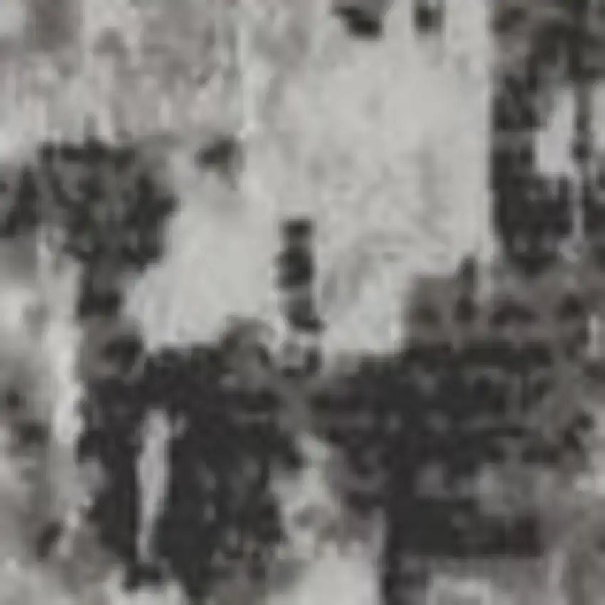 Gray And White Abstract Distressed Area Rug Photo 3