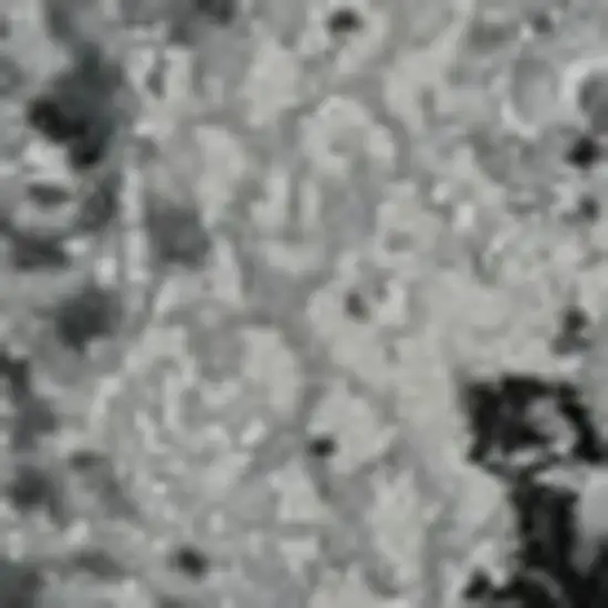 Gray And White Abstract Distressed Area Rug Photo 3