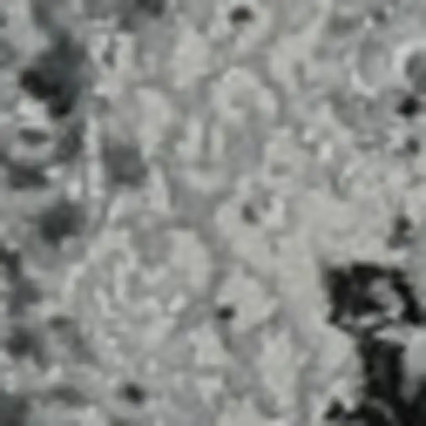 Gray And White Abstract Distressed Area Rug Photo 3