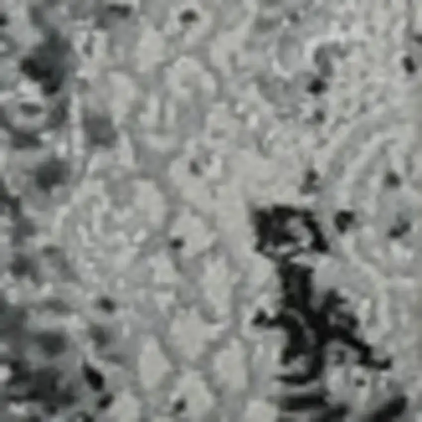 Gray And White Abstract Distressed Area Rug Photo 4