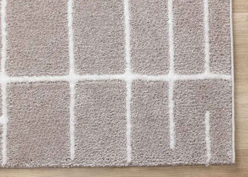 Gray And White Striped Area Rug Photo 9