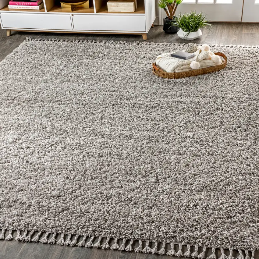 Gray Area Rug With Fringe Photo 4