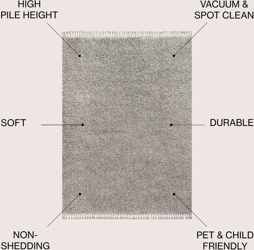 Gray Area Rug With Fringe Photo 7