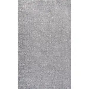 Photo of Gray Area Rug