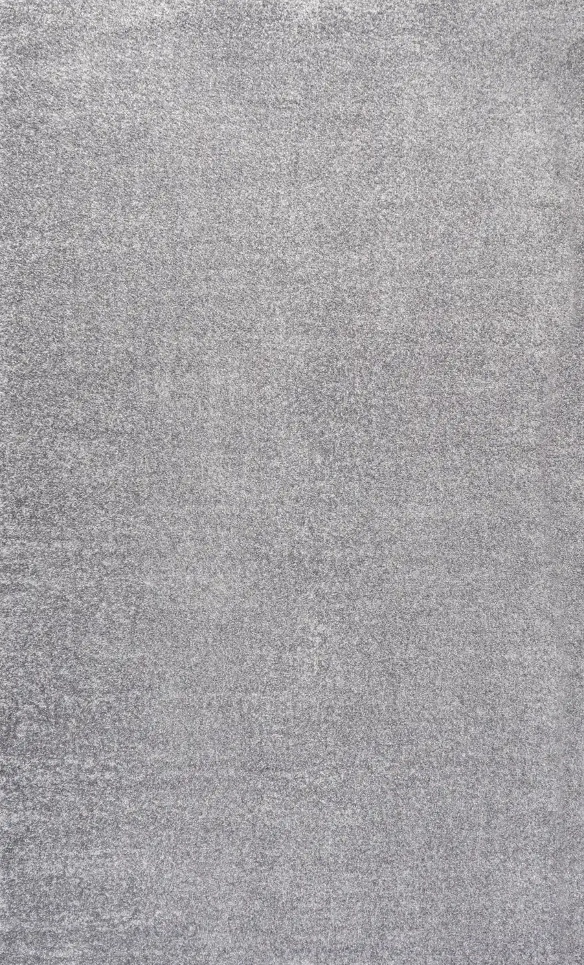 Gray Area Rug Photo 3