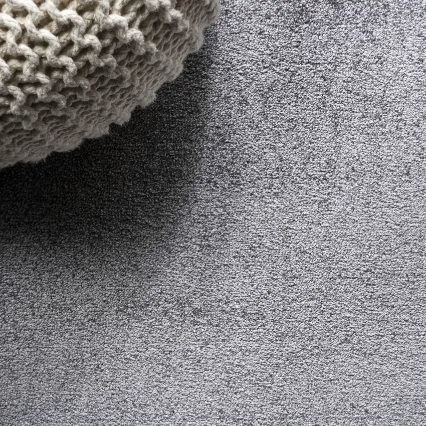 Gray Area Rug Photo 6