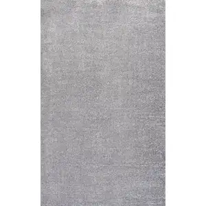 Photo of Gray Area Rug