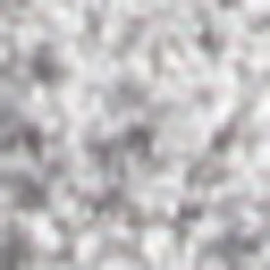 Gray Area Rug Photo 3