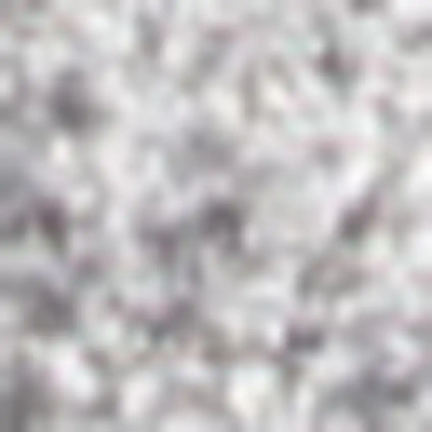 Gray Area Rug Photo 3