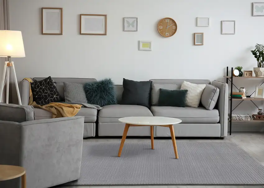 Gray Area Rug Photo 4