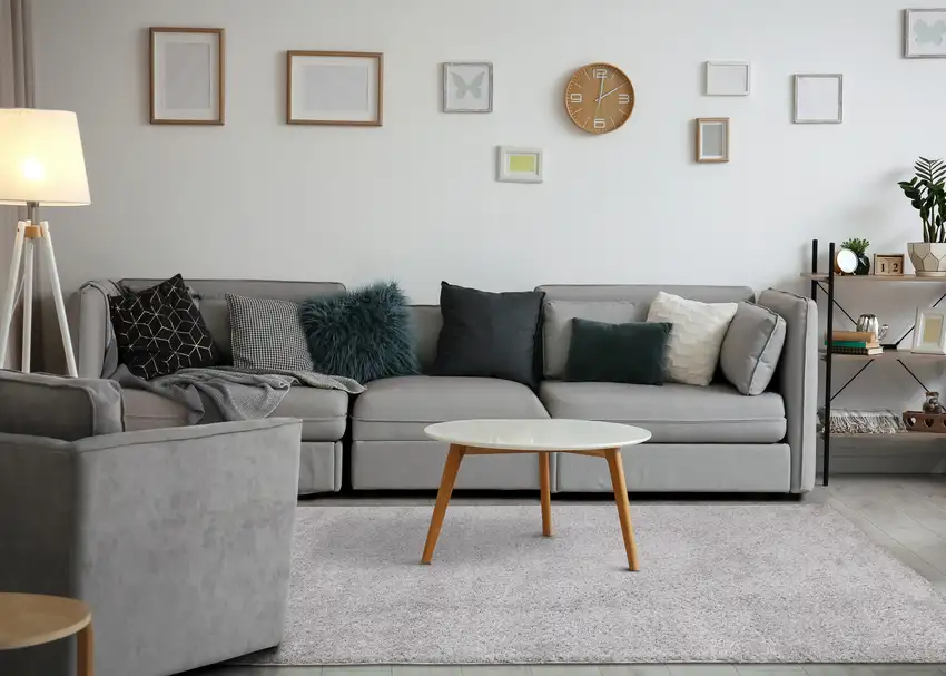 Gray Area Rug Photo 5