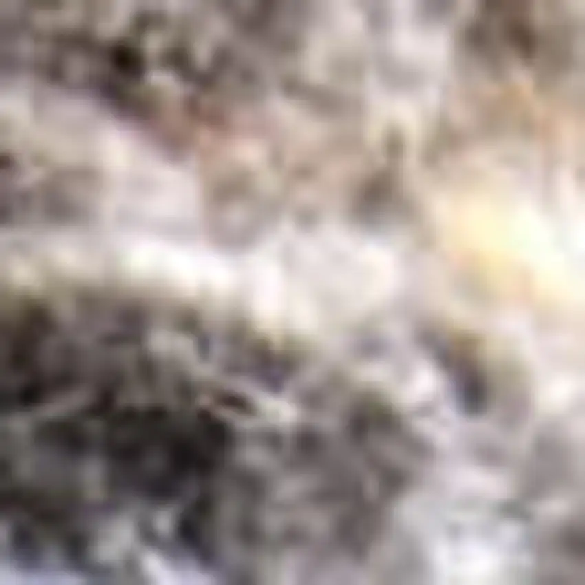 Gray Black And Brown Handmade Indoor Outdoor Area Rug Photo 3