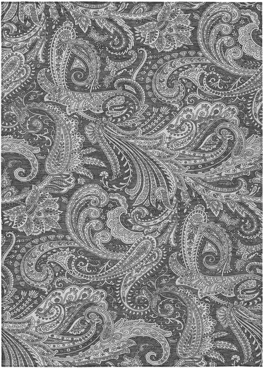 Gray Charcoal And Ivory Paisley Washable Indoor Outdoor Area Rug Photo 2