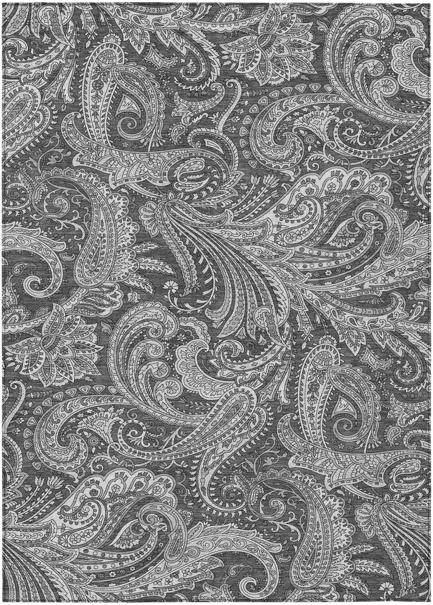 Gray Charcoal And Ivory Paisley Washable Indoor Outdoor Area Rug Photo 2