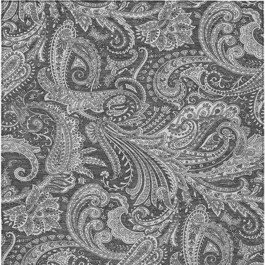Gray Charcoal And Ivory Paisley Washable Indoor Outdoor Area Rug Photo 6