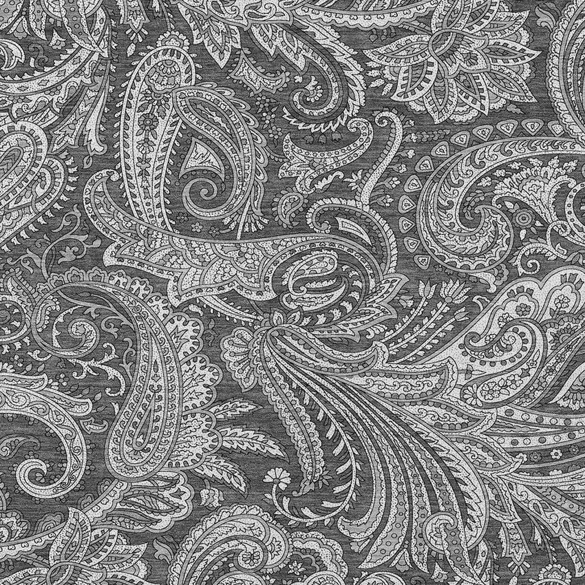 Gray Charcoal And Ivory Paisley Washable Indoor Outdoor Area Rug Photo 6