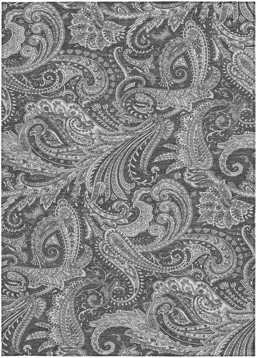 Gray Charcoal And Ivory Paisley Washable Indoor Outdoor Area Rug Photo 6