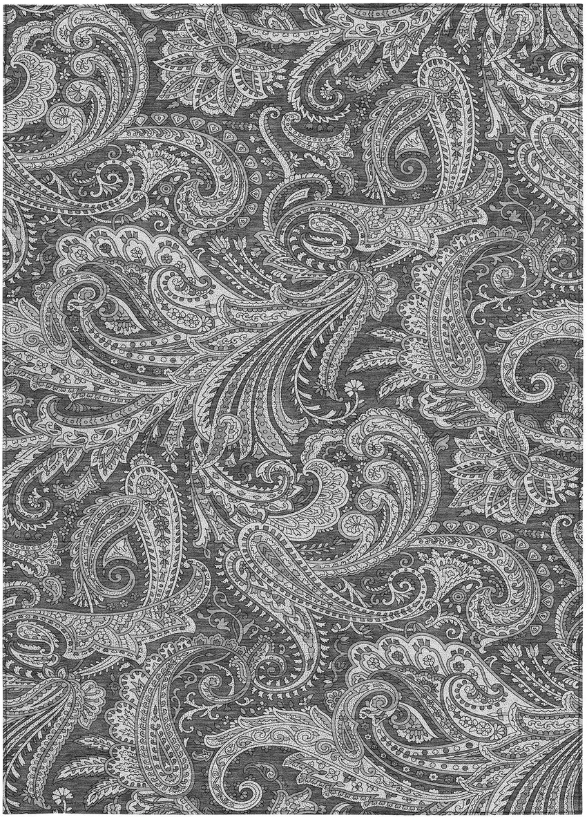 Gray Charcoal And Ivory Paisley Washable Indoor Outdoor Area Rug Photo 6