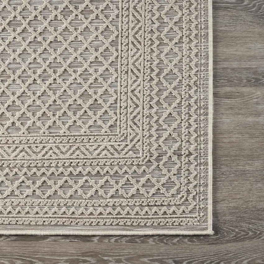 Gray Classic Indoor Outdoor Area Rug Photo 6