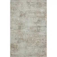 Photo of Gray Damask Distressed Area Rug
