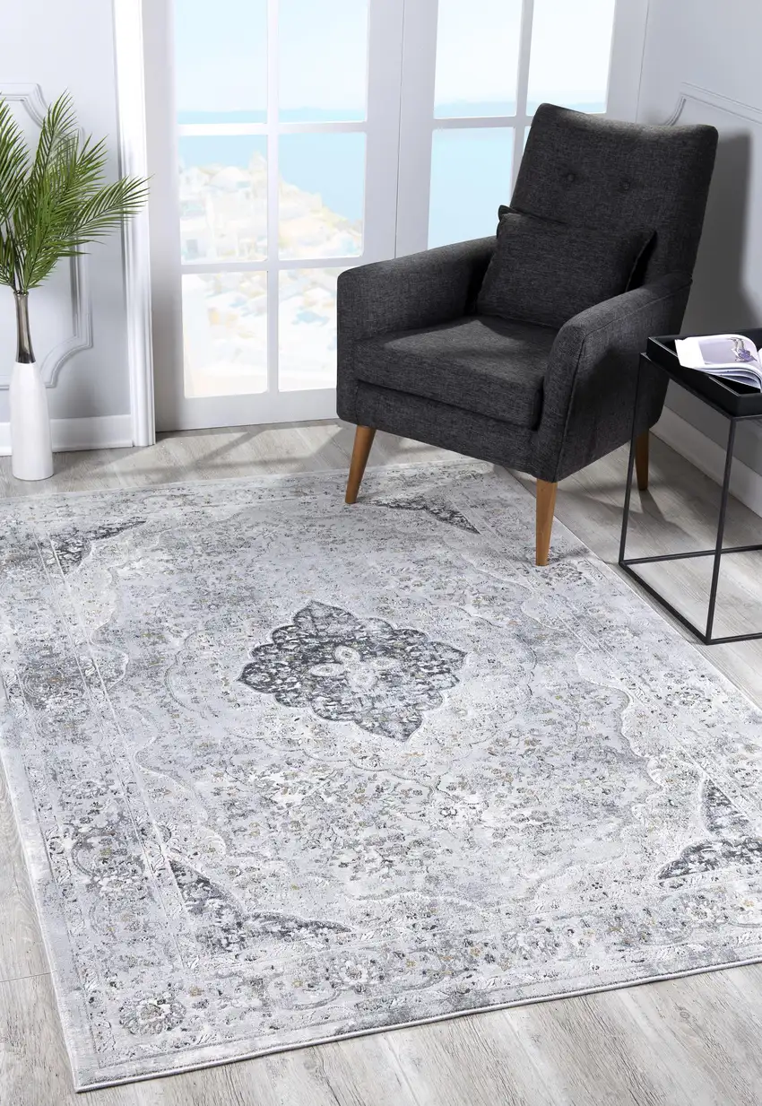 Gray Distressed Decorative Area Rug Photo 4