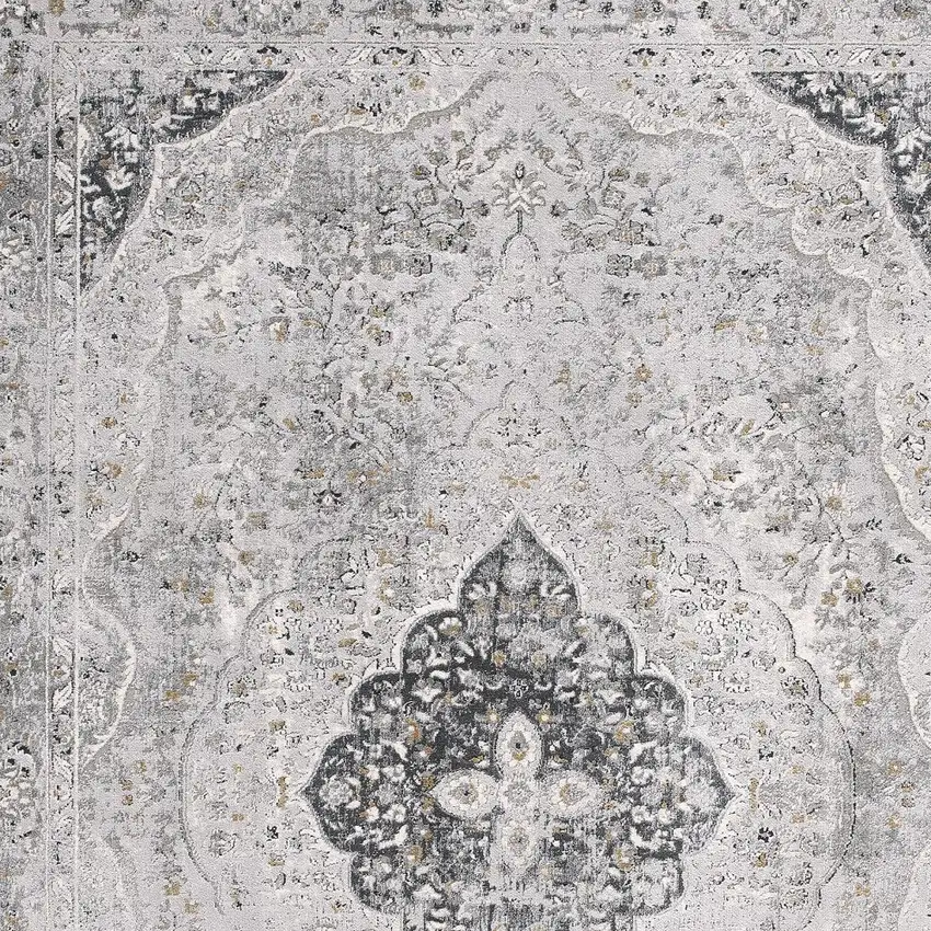 Gray Distressed Decorative Area Rug Photo 2