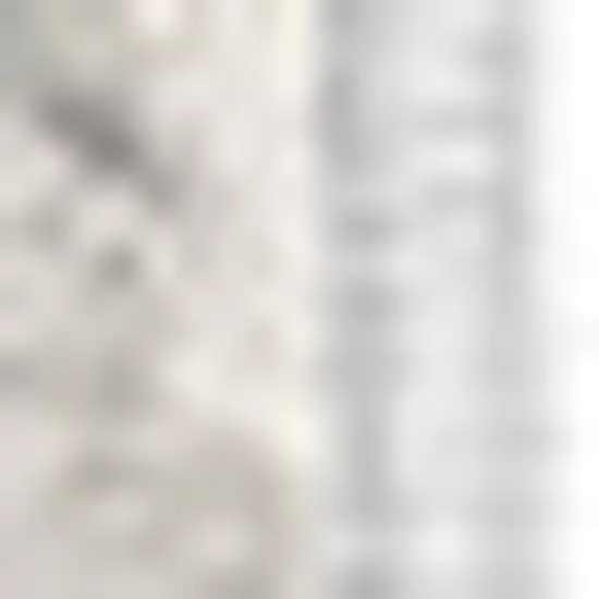 2' X 20' Gray Distressed Medallion Runner Rug Photo 4