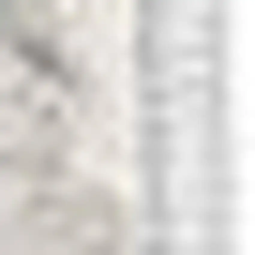 2' X 20' Gray Distressed Medallion Runner Rug Photo 4