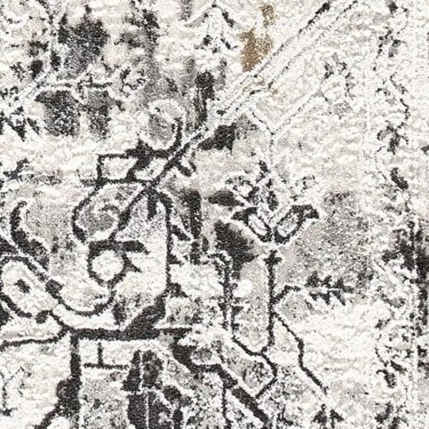 Gray Distressed Ornate Area Rug Photo 2