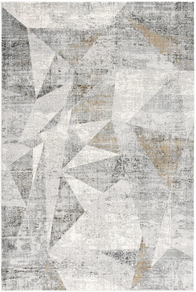 Gray Distressed Prism Modern Area Rug Photo 3