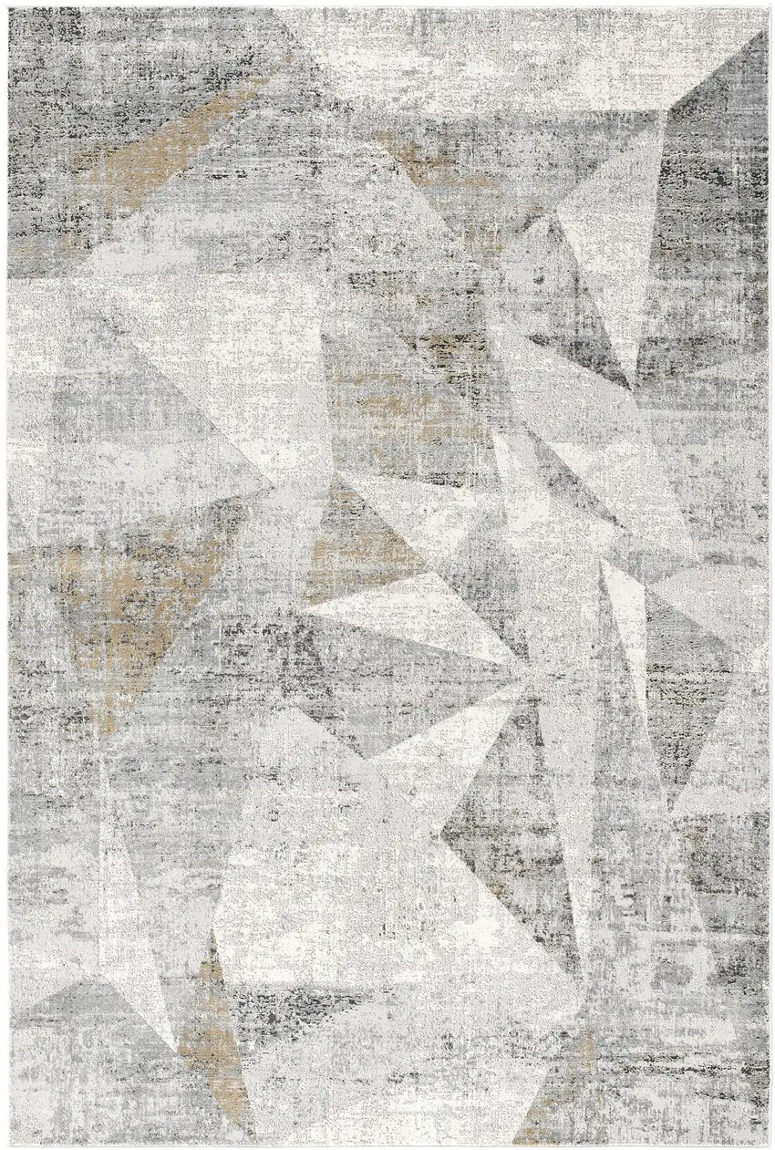 Gray Distressed Prism Modern Area Rug Photo 4