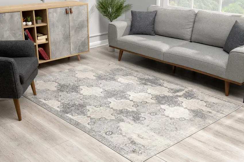 Gray Distressed Trellis Pattern Area Rug Photo 7