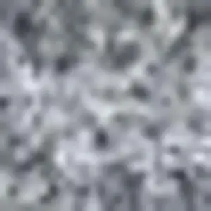 Photo of Gray Flatweave Area Rug