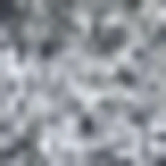 Gray Flatweave Area Rug Photo 3