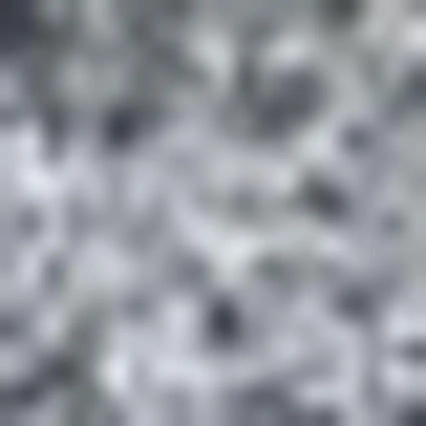 Gray Flatweave Area Rug Photo 3