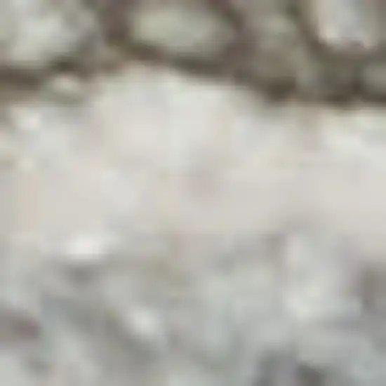 Gray Floral Area Rug Photo 2