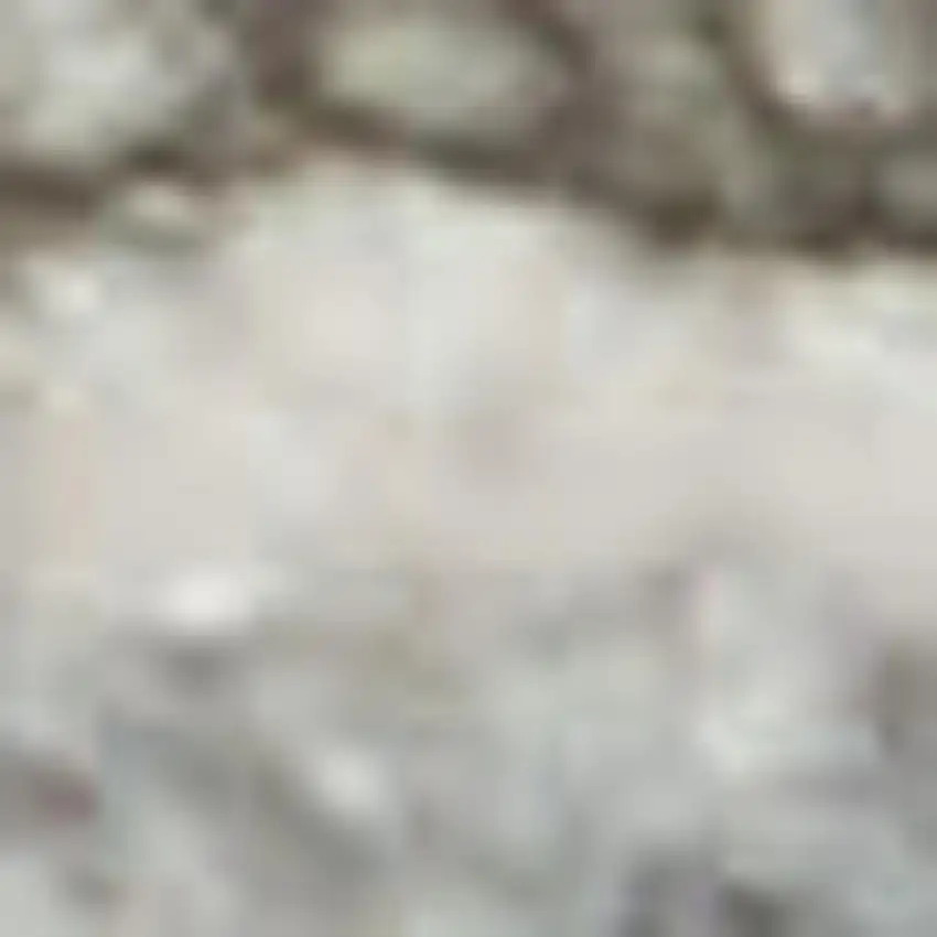 Gray Floral Area Rug Photo 2