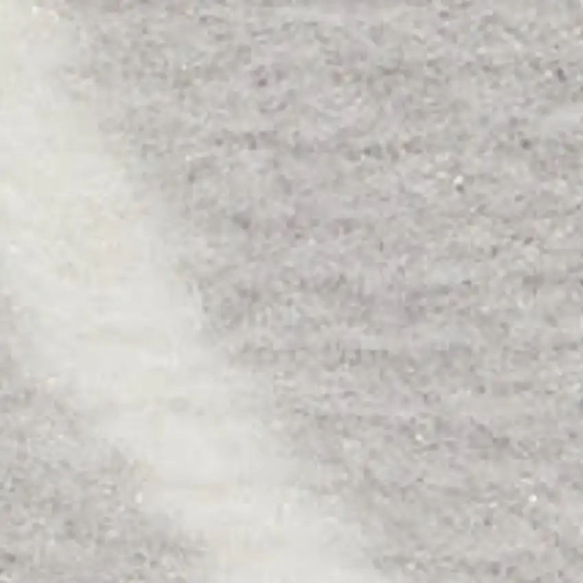 Gray Floral Distressed Area Rug Photo 3