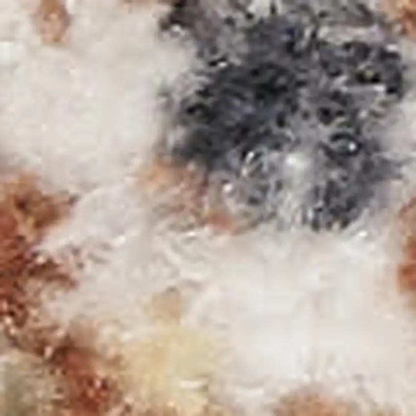 Gray Floral Distressed Area Rug Photo 3