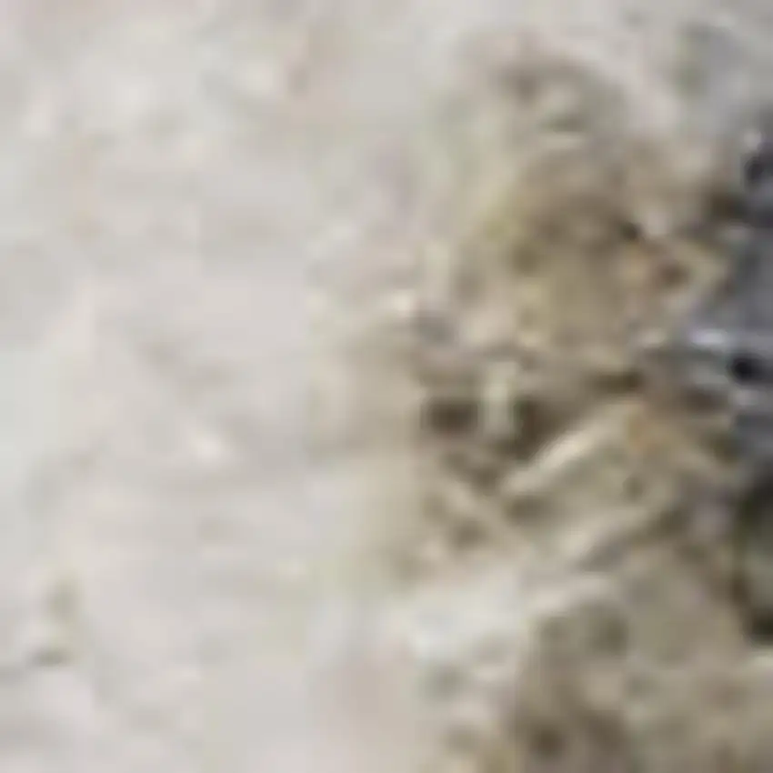 Gray Floral Distressed Area Rug Photo 4