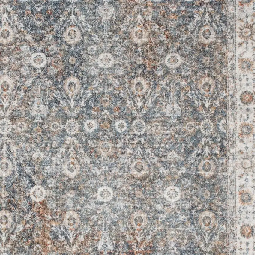Gray Floral Distressed Area Rug Photo 2