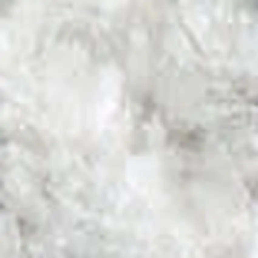 Gray Floral Distressed Area Rug Photo 3