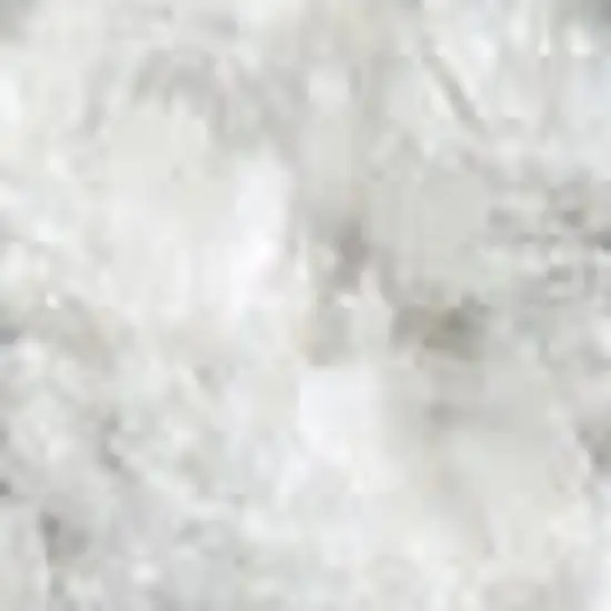 Gray Floral Distressed Area Rug Photo 3